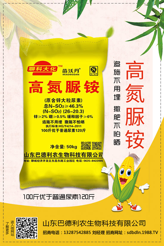     ����⛷�2019�������r��C���u�y������