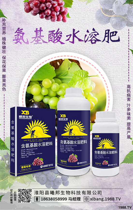 明年種植什么更賺錢?2020年七大賺錢種植項(xiàng)目,快來看看吧!