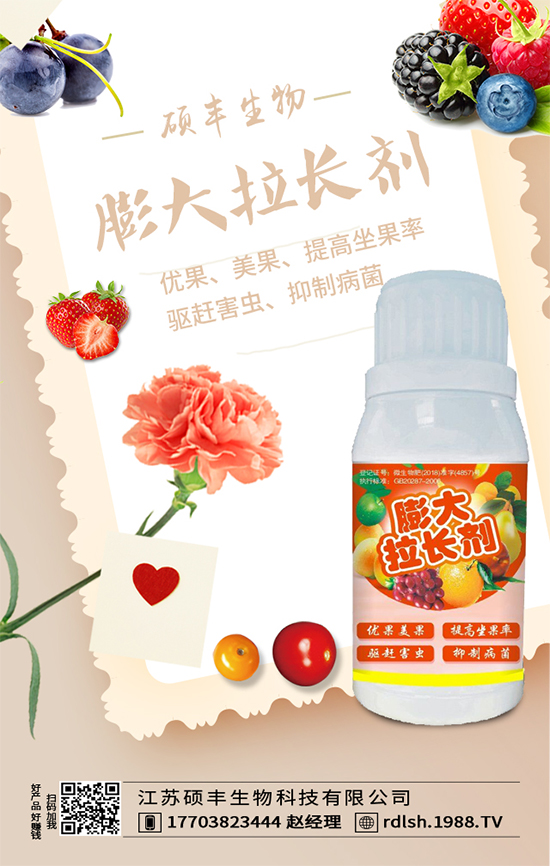 大棚西芹怎么種植？西芹的種植環(huán)境要求！