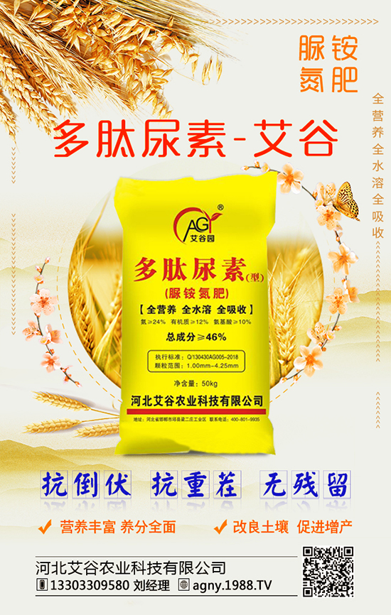 菌肥的種類很多,他們當(dāng)中的菌類作用您了解多少?