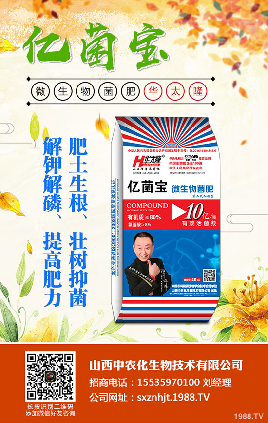     二銨價格仍存小幅下滑空間？2019年12月底磷酸二銨行情分析！