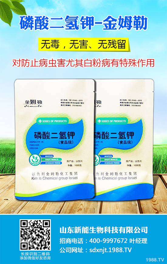 魔芋價格多少錢一斤？2020年魔芋種植的市場行情