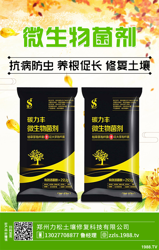 種植什么藥材能賺錢？2020年中藥材種植前景分析