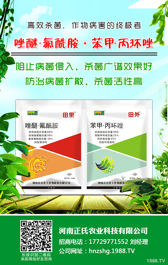 西梅種植的氣候條件，西梅種植的方法！