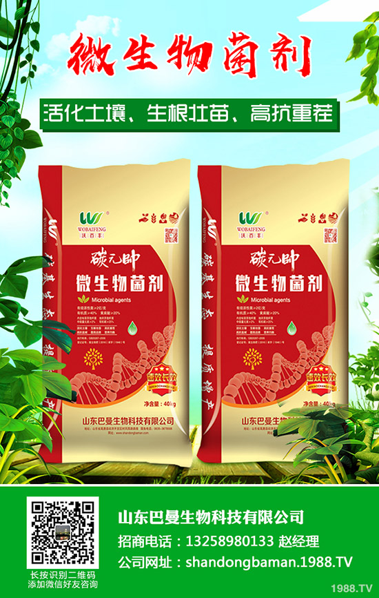 2019-12-29國(guó)產(chǎn)鉀肥行情小幅調(diào)漲!最新鉀肥價(jià)格信息周報(bào)