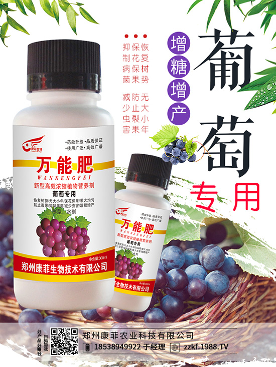 腋唇蘭養(yǎng)殖方法 腋唇蘭養(yǎng)殖注意事項