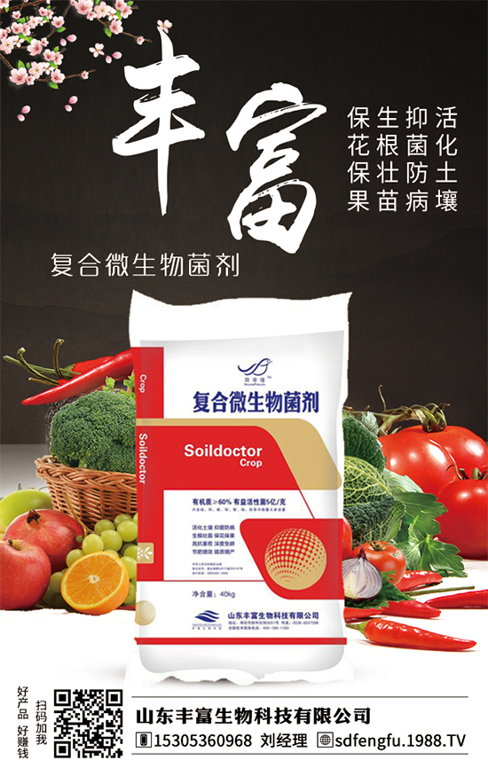 枇杷什么時(shí)間嫁接比較好？嫁接的枇杷樹幾年結(jié)果？（枇杷樹嫁接方法）