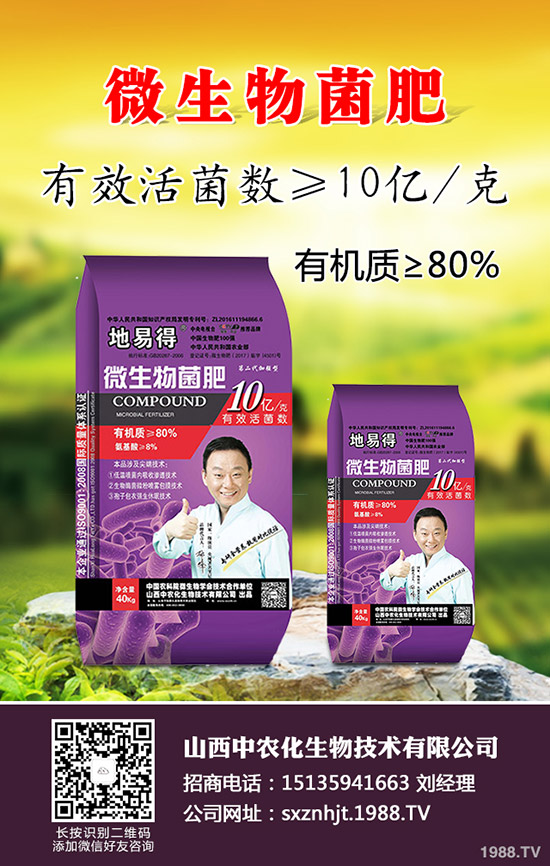     2020早春玉米在那些地區(qū)種植合適？春玉米種植播種時(shí)期及技術(shù)要點(diǎn)！