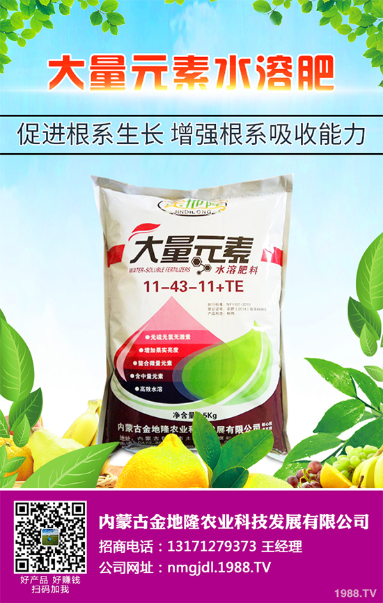 降雪過后，蔬菜大棚你知道該怎么管理嗎？