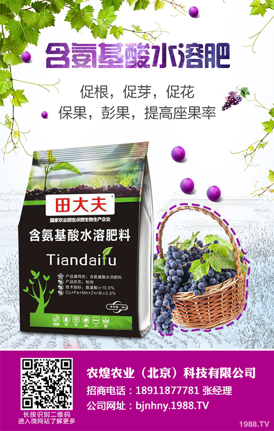 降雪過后，蔬菜大棚你知道該怎么管理嗎？