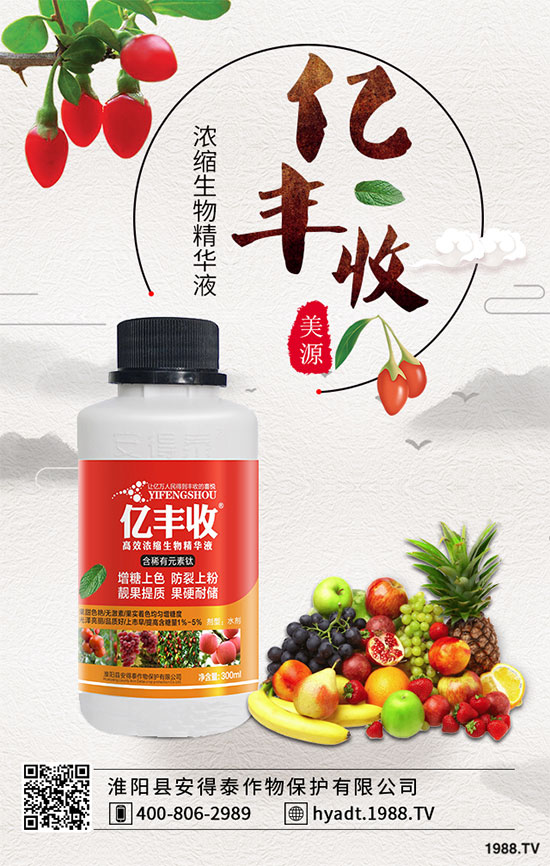 荔枝果樹怎么修剪？荔枝采后修剪的常見誤區(qū)！