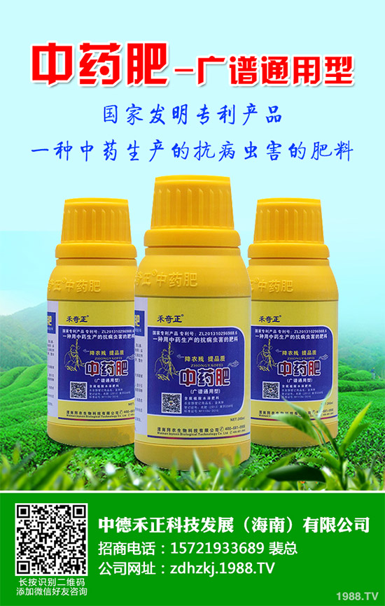 金線蓮有哪些營養(yǎng)價值?金線蓮的功效作用及食用方法