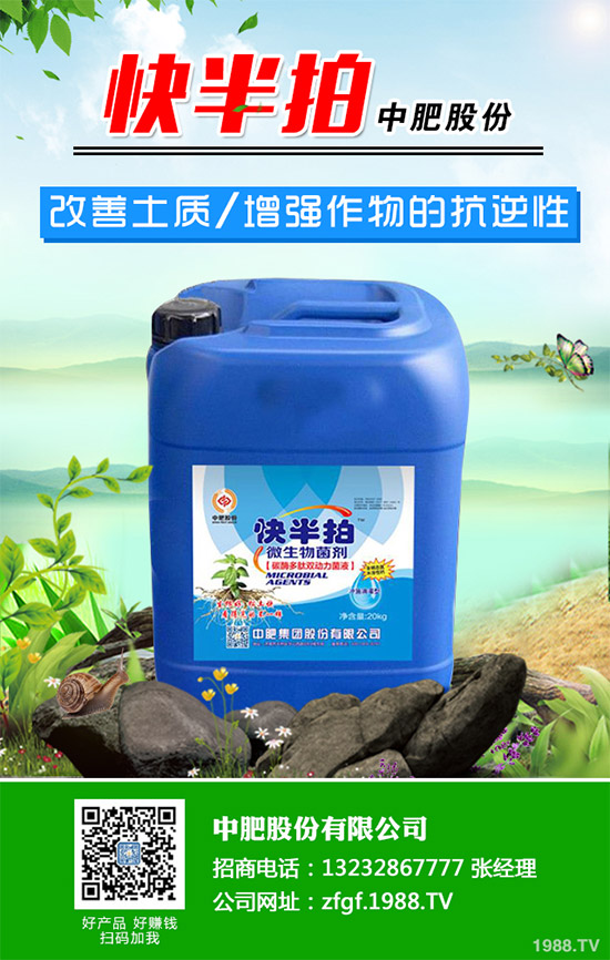 金線蓮該如何種植？金線蓮的種植及養(yǎng)管理