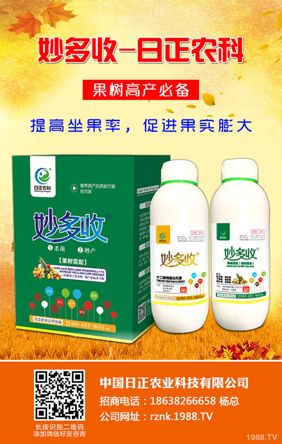 金線蓮該如何種植？金線蓮的種植及養(yǎng)管理