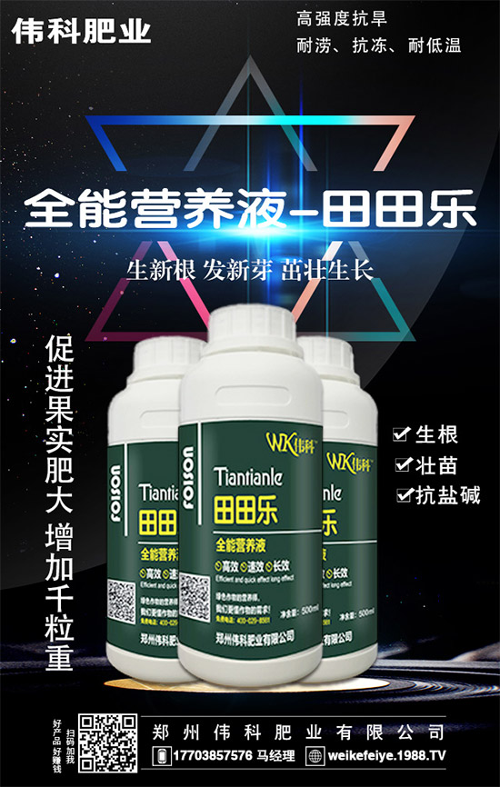     橙子的營養(yǎng)價值有哪些？功效與作用有哪些？不易哪些人群食用？