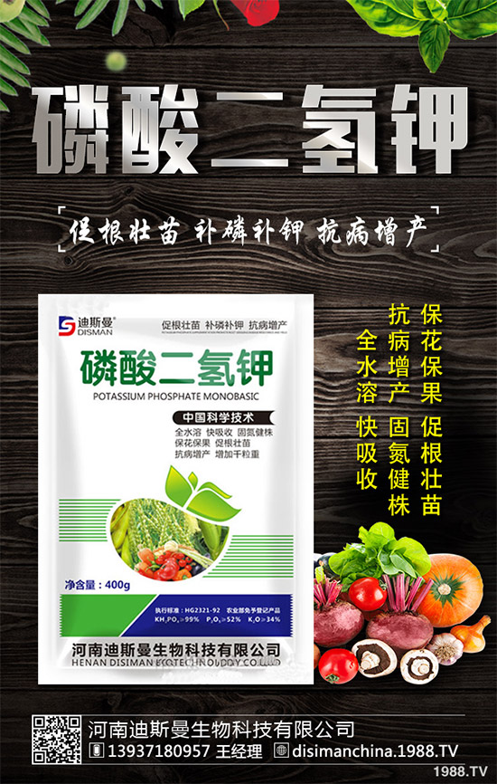 野生金線(xiàn)蓮有哪些神奇功效？野生金線(xiàn)蓮的功效及用法