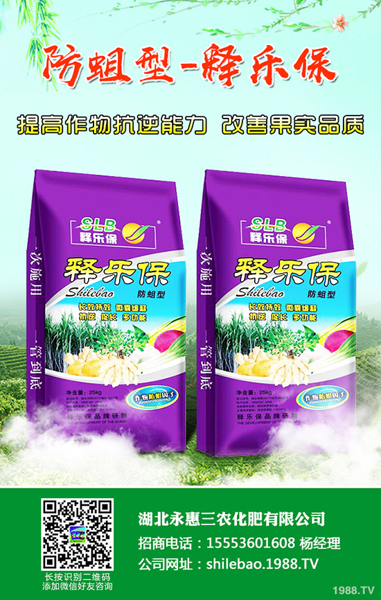 2020年柑桔多少錢(qián)一斤?過(guò)年前后柑桔的行情走勢(shì)如何?