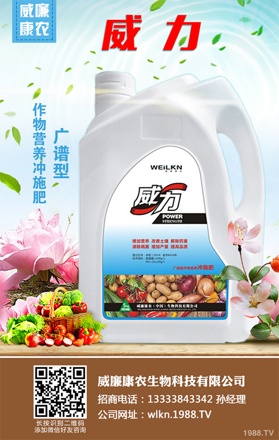     木耳菜不僅好吃而且營養(yǎng)豐富，它含有極其豐富的營養(yǎng)元素，特別是鈣、鐵等元素的含量非常的高，下面小編就為大家講述一下木耳菜的采收方法，一起來看看吧！