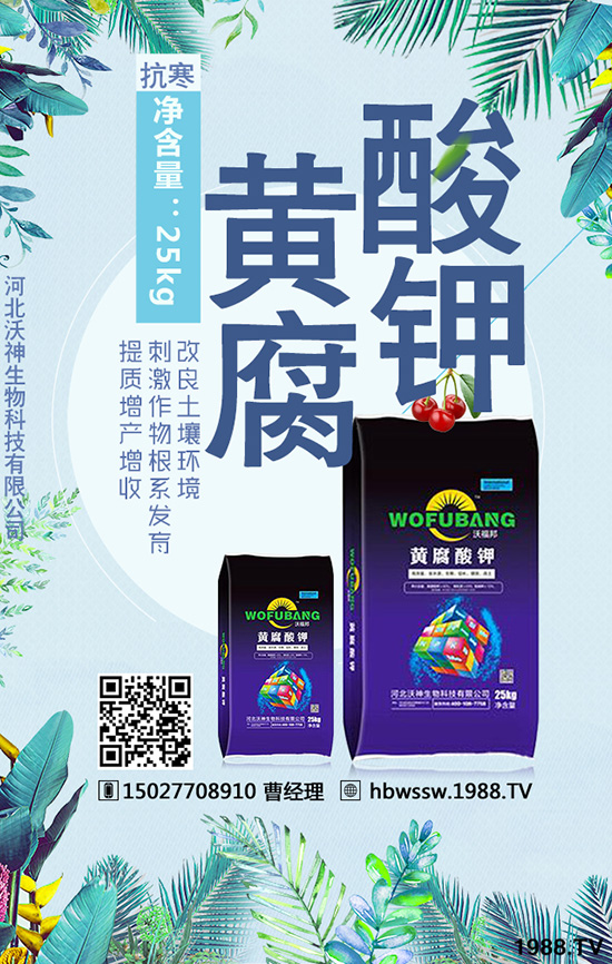 ��������Ч�ı��|(zh��)�چ�����������c�M(j��n)�������a(ch��n)����