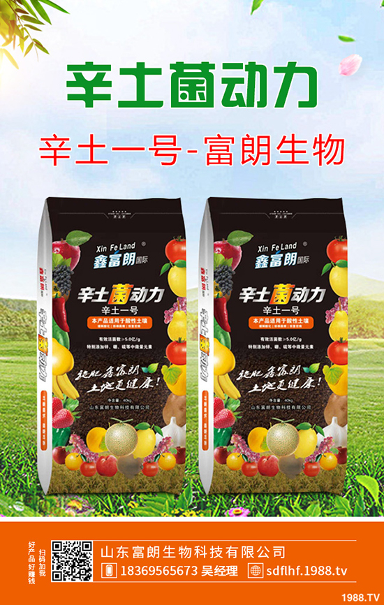     2019年12月6日二銨交投持續(xù)清淡！今日最新二銨主流出廠報(bào)價(jià)！