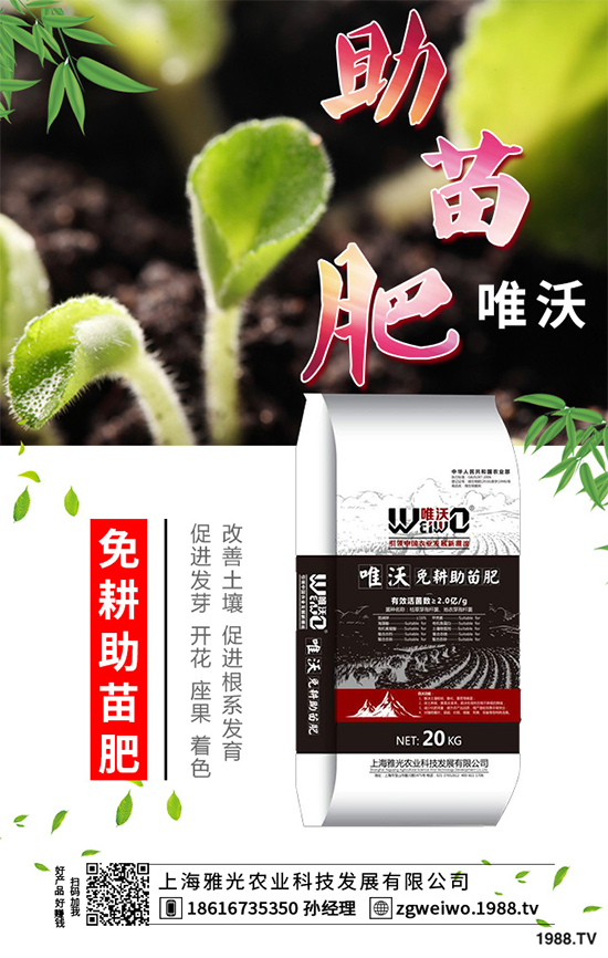     山藥什么時候采收？山藥的貯藏方法有哪些？