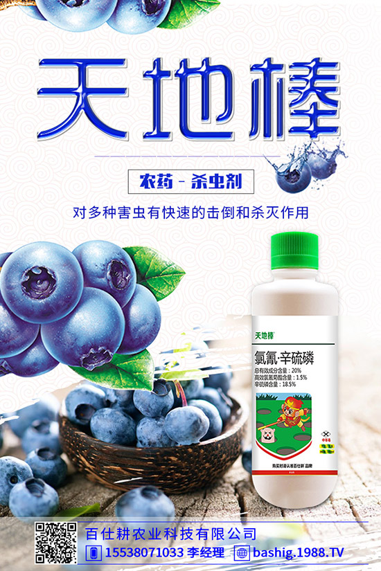 空心菜用什么肥好，空心菜的施肥技巧有哪些？