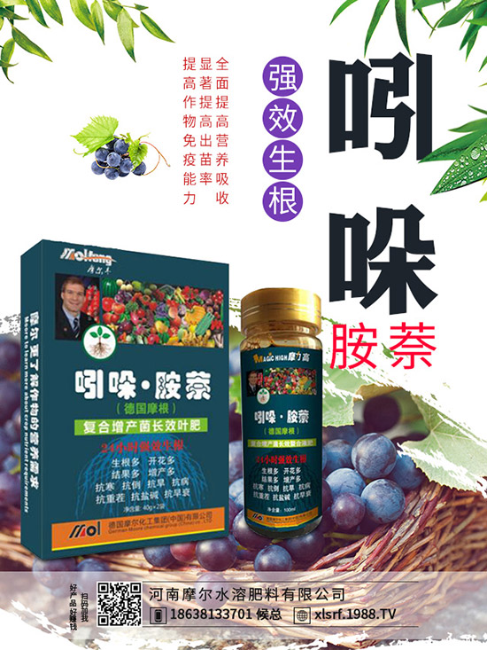 煙草主產(chǎn)地在哪里，煙草種植方法有哪些？