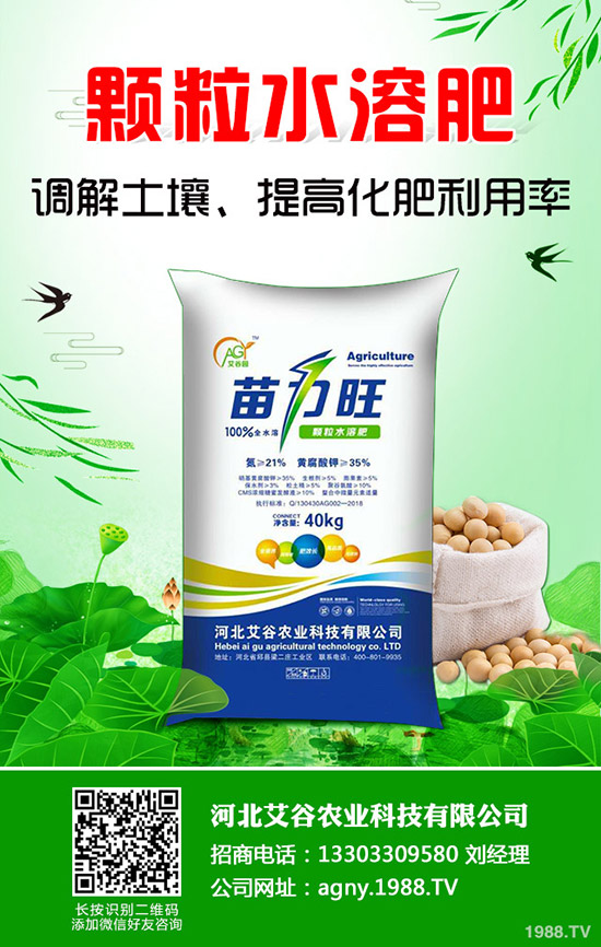 空心菜怎樣施肥產(chǎn)量高，空心菜施肥技巧有哪些？