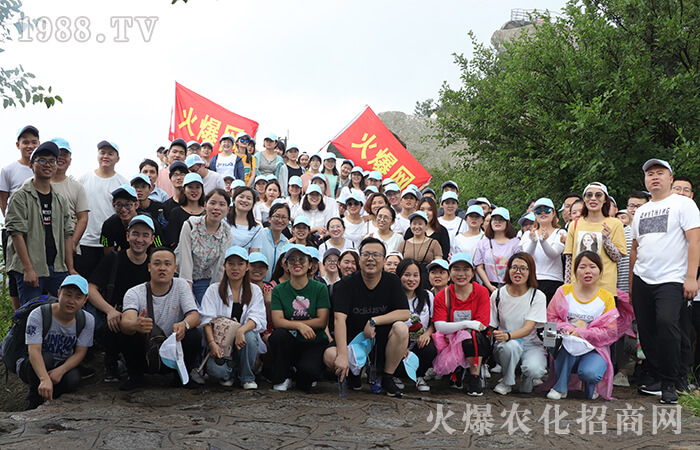 ���(y��ng)�u��ɽ���tɫ�����ĵ��w��(hu��)