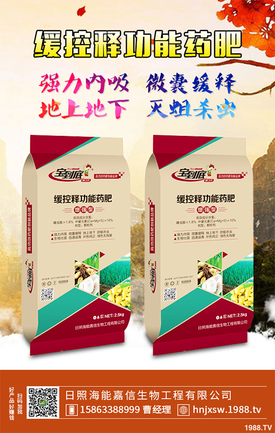 芹菜該如何種植？注意些什么？芹菜高產(chǎn)種植方案