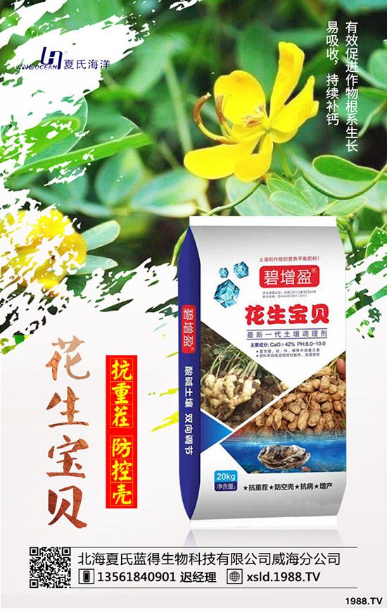 板藍根種前景如何?板藍根高產(chǎn)種植要點!