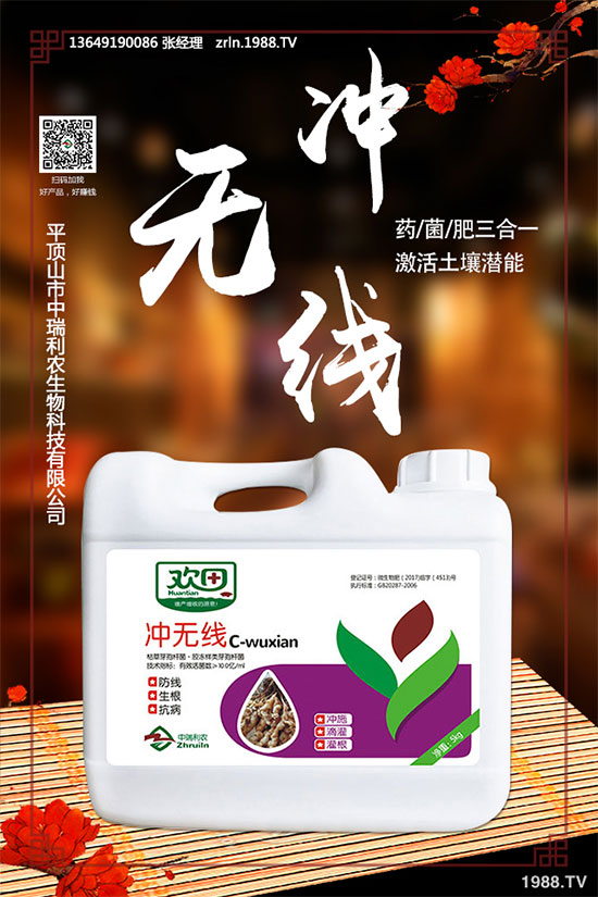 如何進(jìn)行黑木耳定植與發(fā)菌管理？黑木耳種植注意事項(xiàng)！