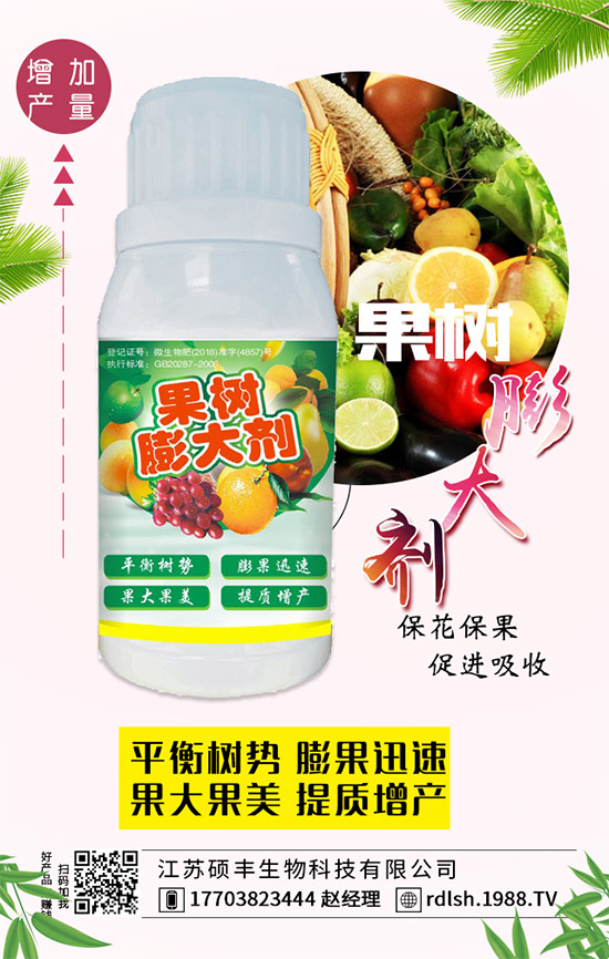 黑木耳的功效與作用,黑木耳的飲食禁忌有哪些?