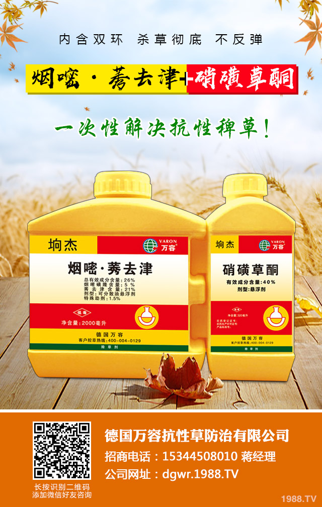 小麥除草劑怎么施用？小麥除草劑施用方法