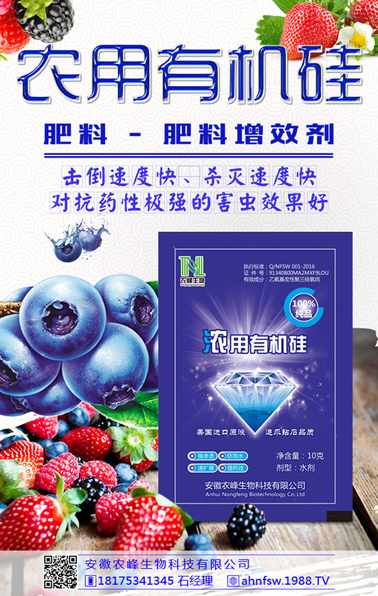 枸杞得了炭疽病怎么辦?枸杞炭疽病危害及防治方法!