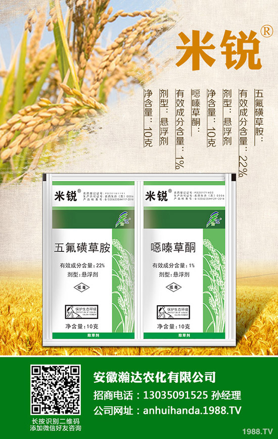 �Բ�������Щ��̎�����˵ĠI�B(y��ng)�rֵ����Щ��