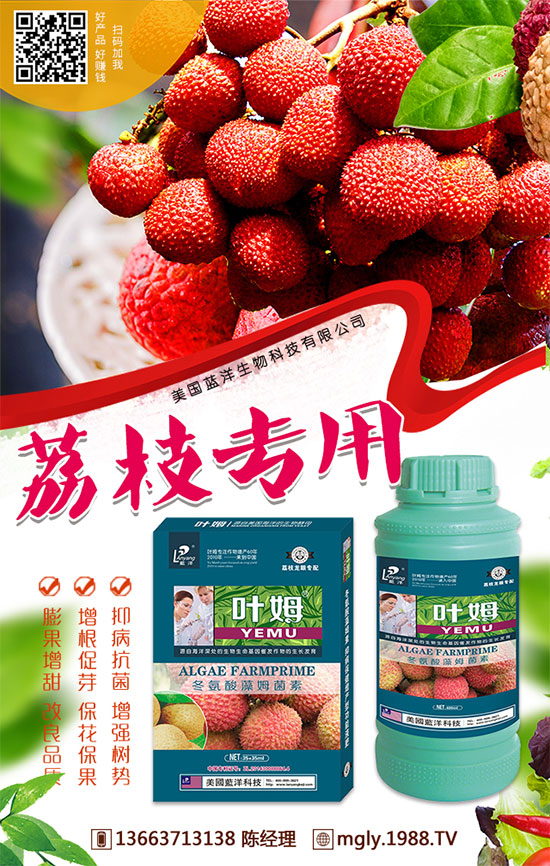���Շ�(gu��)��(n��i)��(f��)�Ϸʃr(ji��)�����鼰�����A(y��)�y(c��)2019.8.29