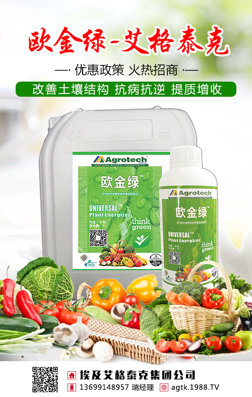 不要盲目施肥了，茶葉需要吃對(duì)糧！