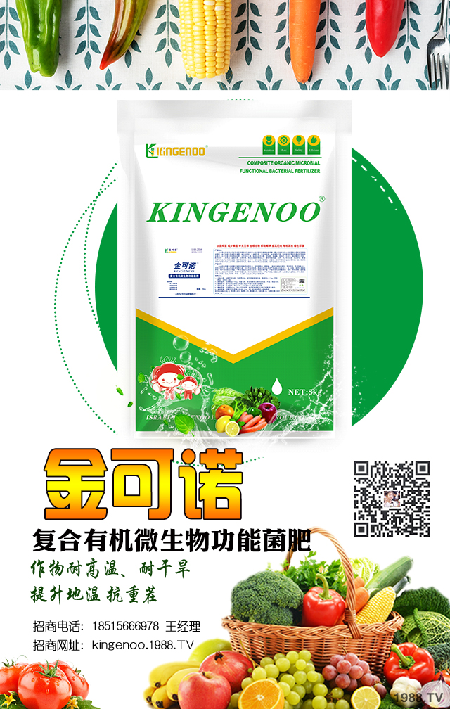 金可諾國際集團(tuán)