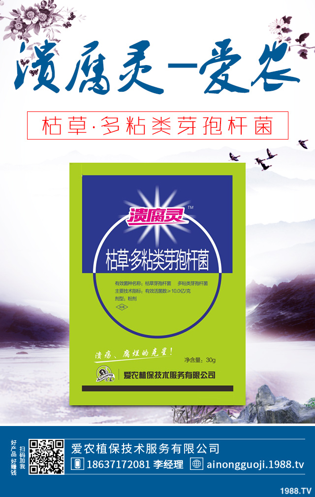 大白菜病害怎么防治？秋播大白菜病害防治方法