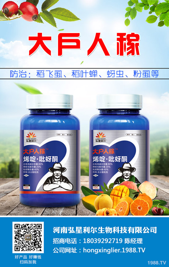 萬年青黃葉怎么辦，萬年青黃葉原因及防治措施！