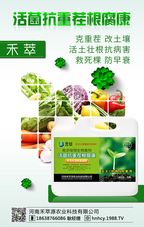 三角梅怎么嫁接？三角梅嫁接方法！