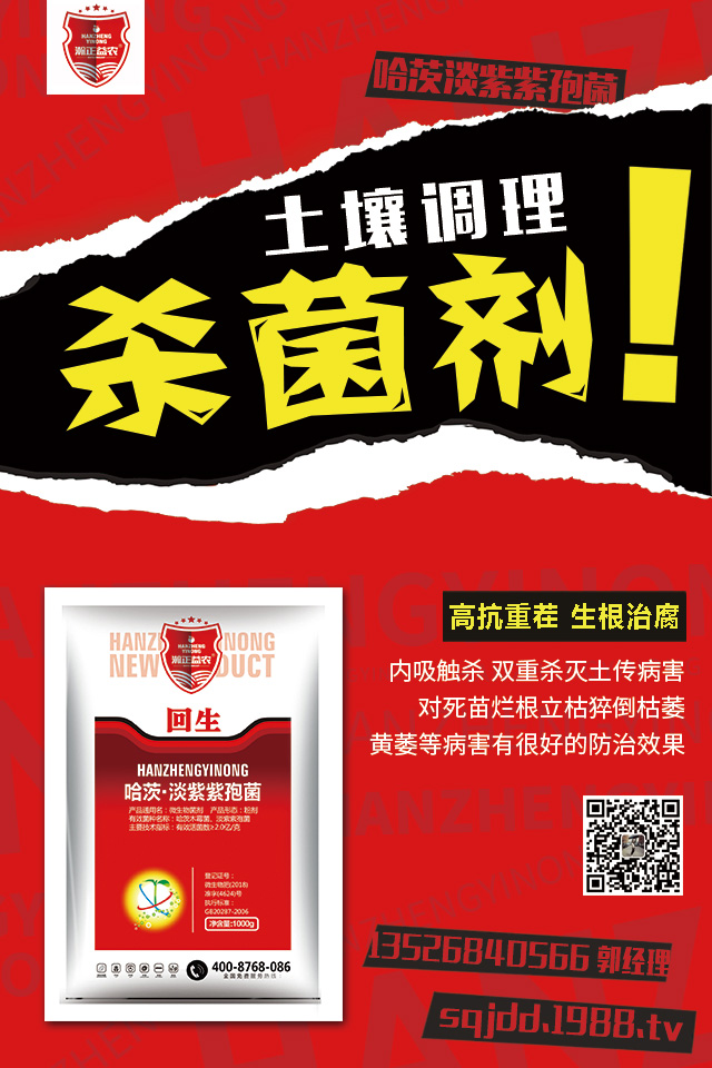 茄子土傳病害怎么辦？茄子嫁接可避免土傳病害