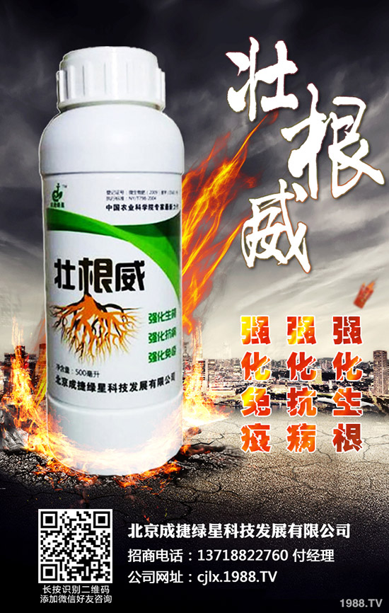 青椒的種植方法有哪些？青椒種植過程中需要注意的幾大問題