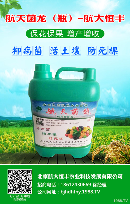 青蘿卜什么時(shí)候種植，青蘿卜栽培要點(diǎn)！