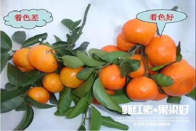 天然果實(shí)著色增甜劑——蝦紅素●果染好！