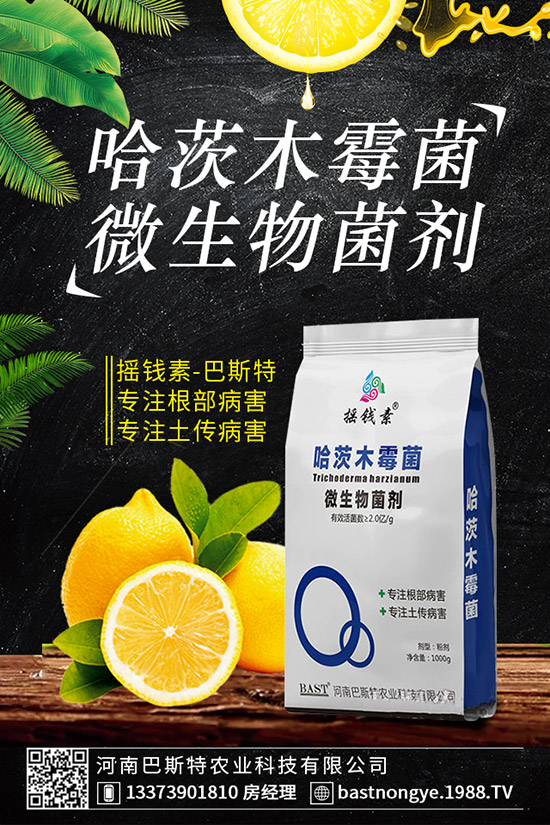虎皮蘭爛根怎么辦，虎皮蘭爛根的防治措施！