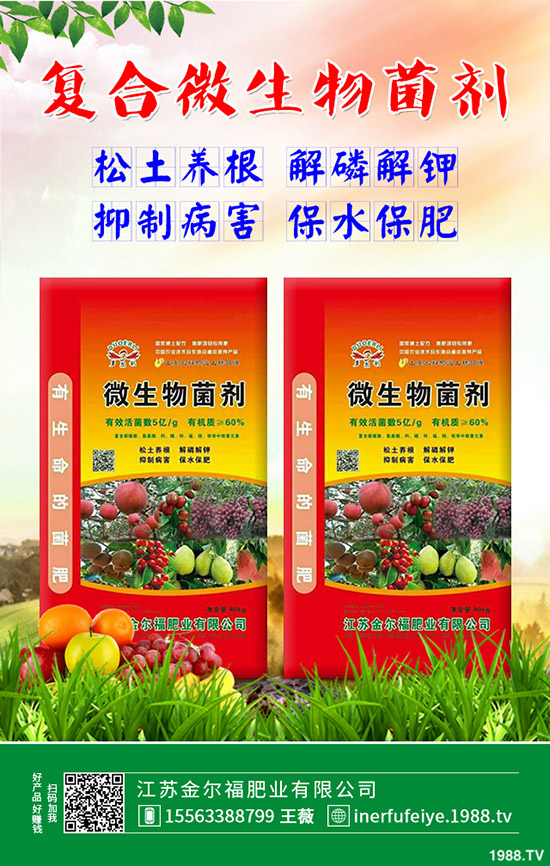 彩色花椰菜多少錢一斤？彩色花菜種植效益如何？