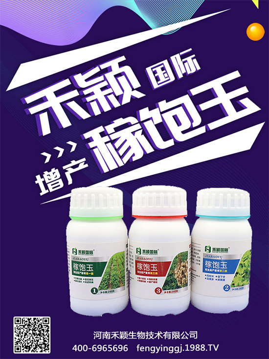 秋葵種植和收獲時間，秋葵種植的生長環(huán)境！