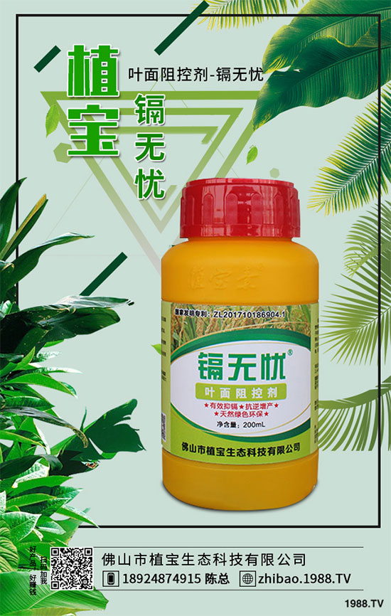 秋季大蔥什么時(shí)間種植？2019秋茬大蔥種植技術(shù)指南